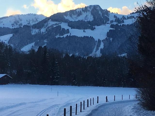 Alphirt Ferienwohnungen Fischen im Allgaeu ภายนอก รูปภาพ