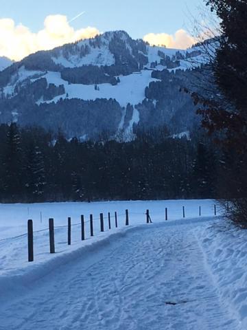 Alphirt Ferienwohnungen Fischen im Allgaeu ภายนอก รูปภาพ