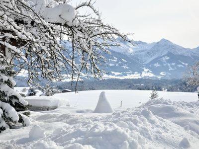 Alphirt Ferienwohnungen Fischen im Allgaeu ภายนอก รูปภาพ